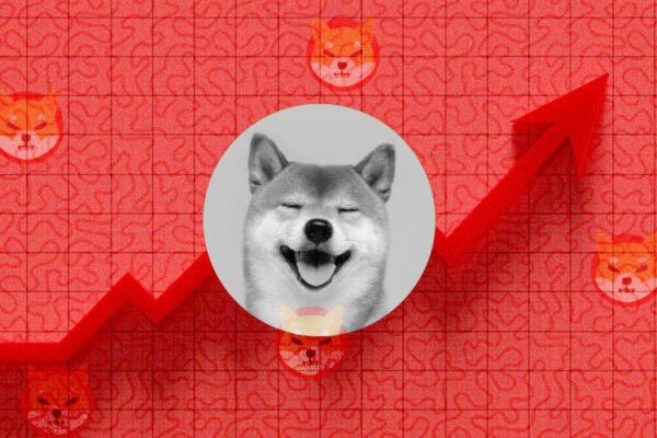 SHIB Up 1.60% Today: Here's Why