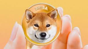 Shiba Inu: ChatGPT Says SHIB Could Reach All-Time High in 2024