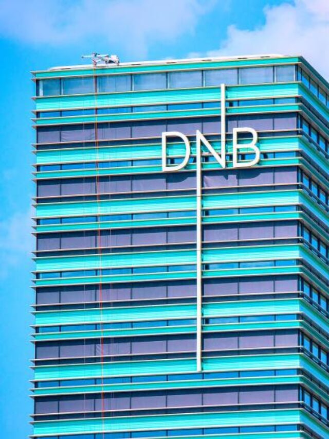 DNB Bank Review